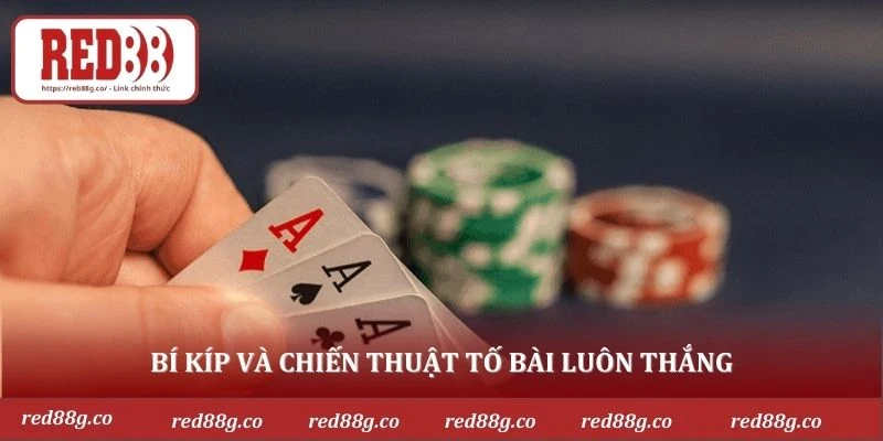 Bí kíp và chiến thuật tố bài luôn thắng